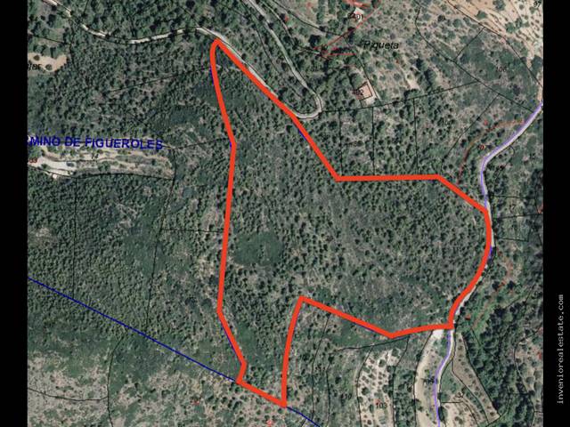 Terreno residencial en Venta en Figueroles