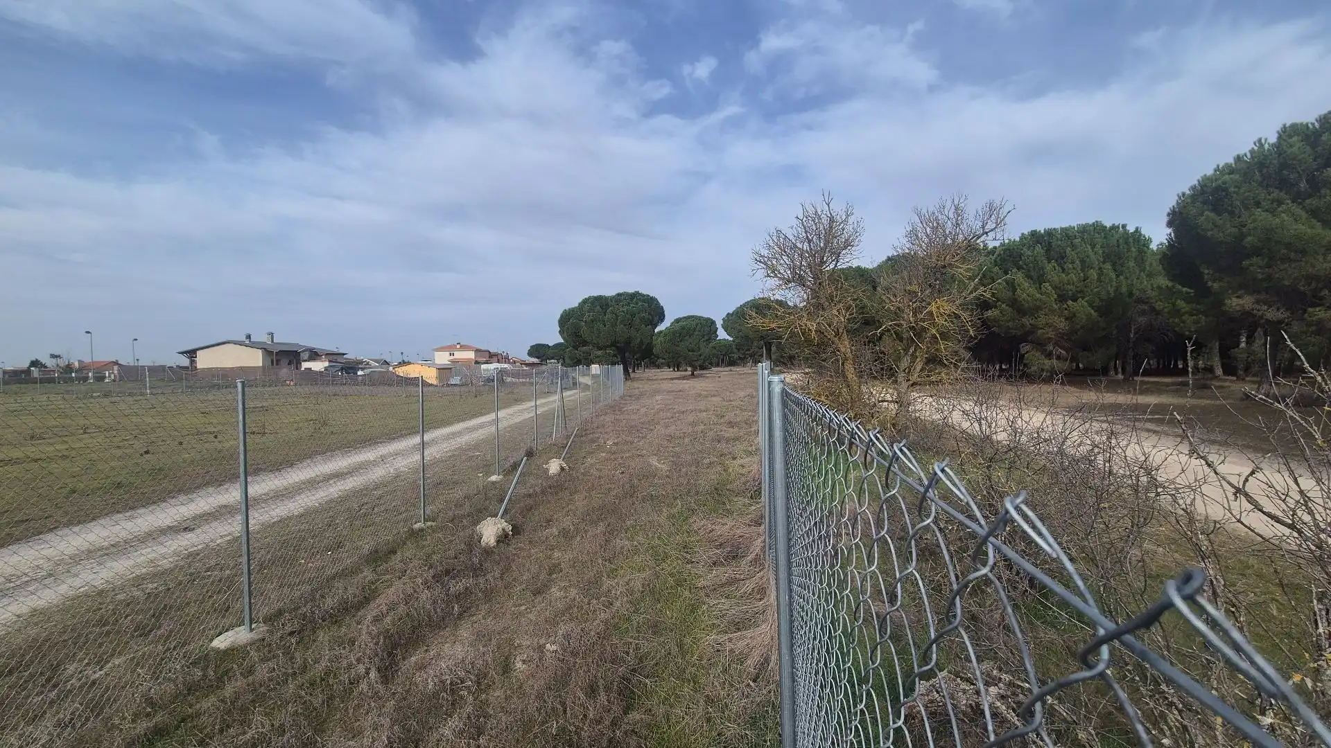 Terreno rustico in vendita a San Salvador  Polígono 12 parcela 142, imagen 4