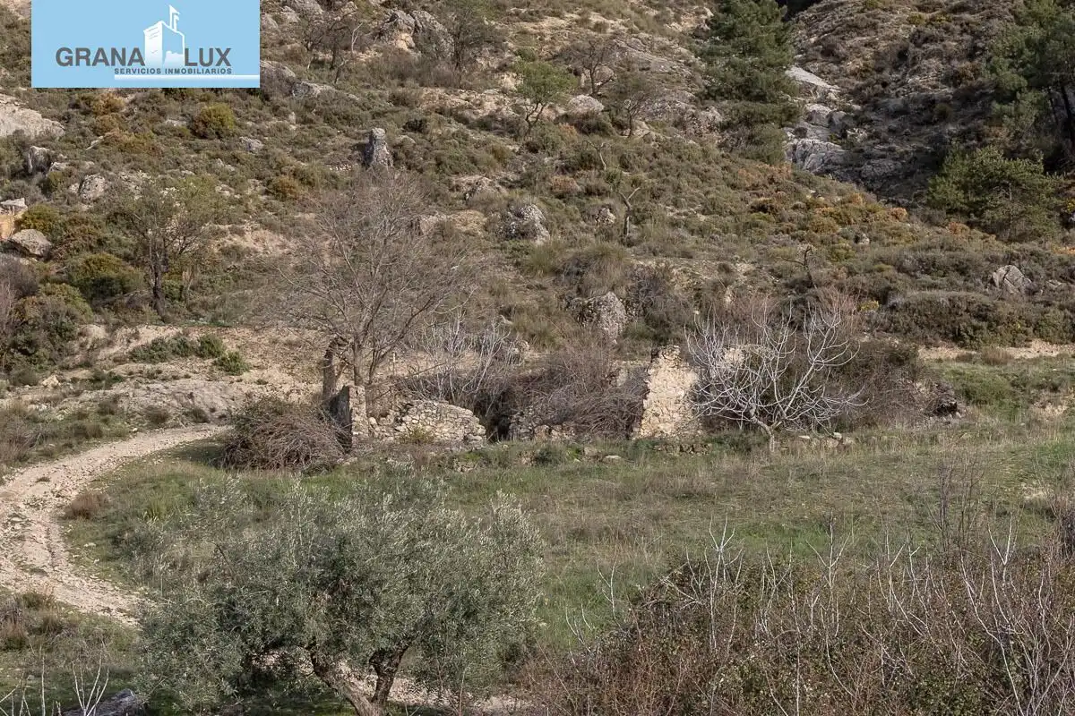 Rustikales Grundstück zum Verkauf in Monachil pueblo, imagen 7