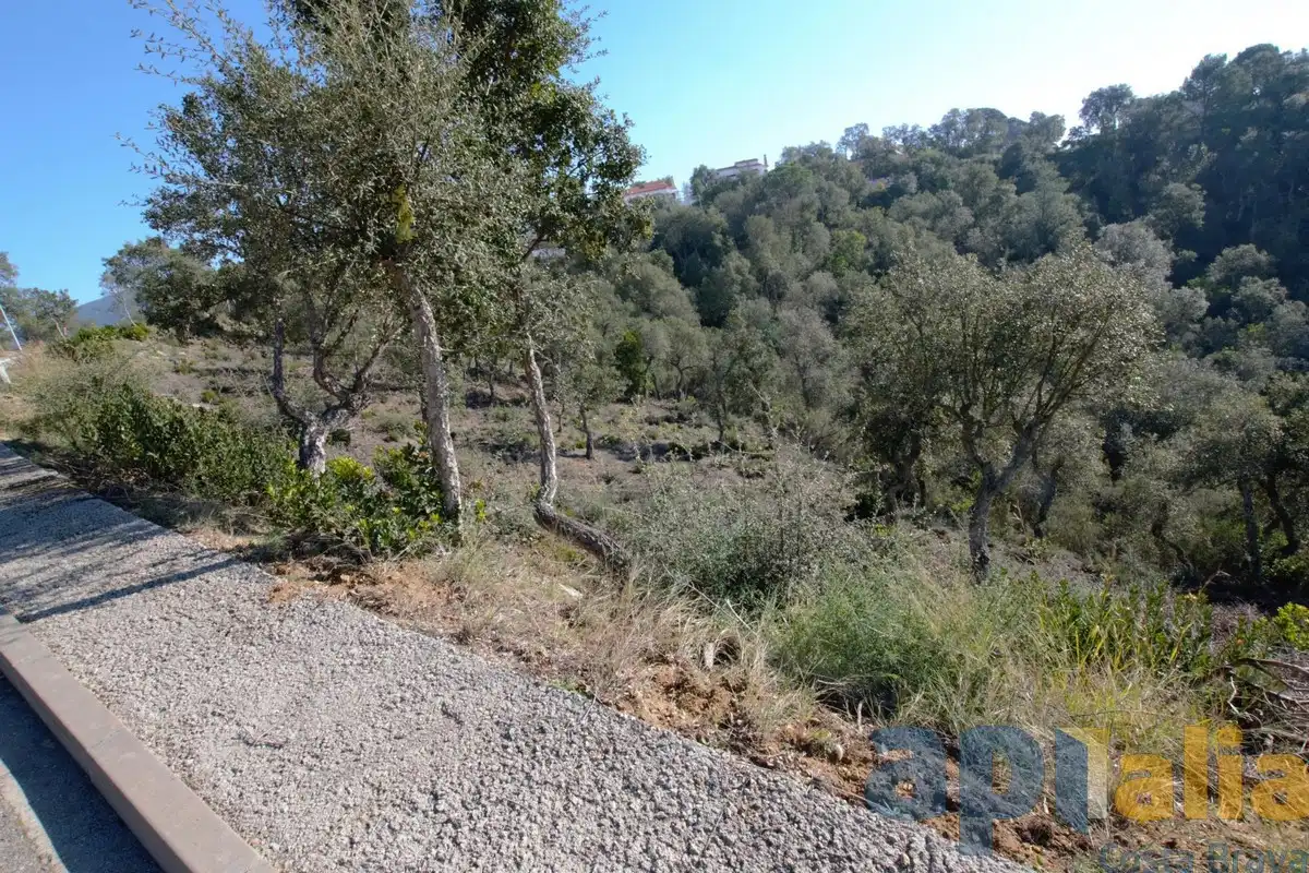 Terreny residencial en venda a Carrer Avet