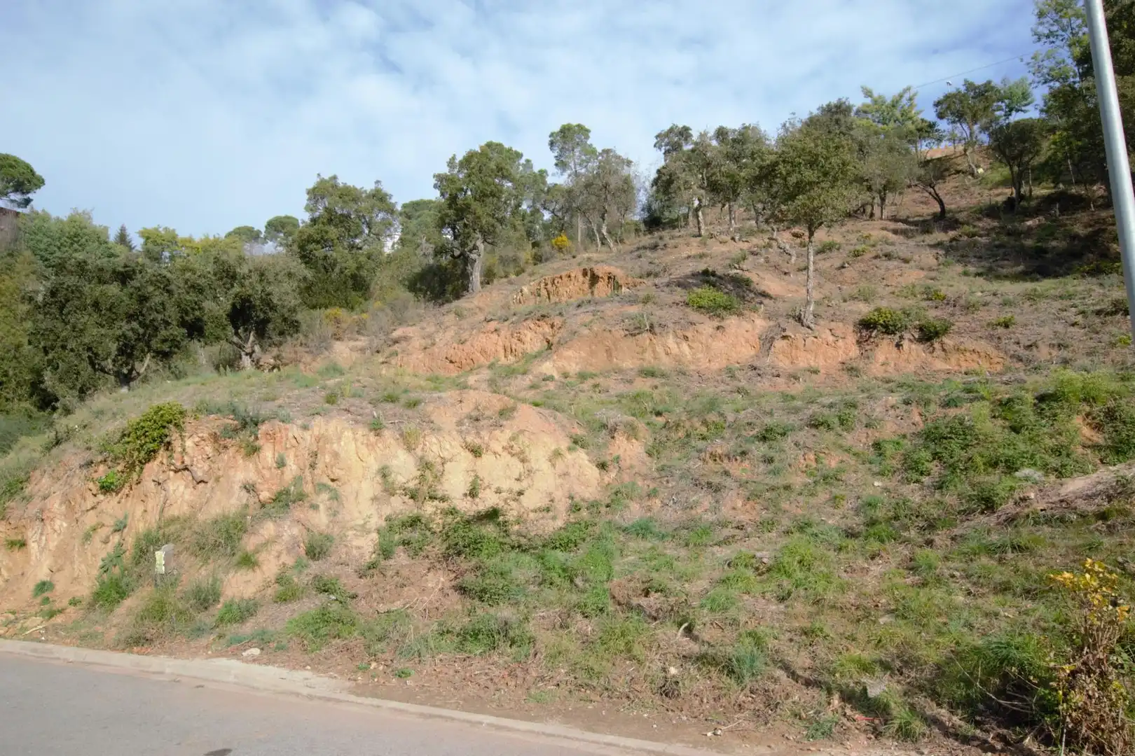 Terreny residencial en venda a Eucaliptus 9, imagen 4