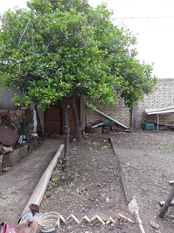 Haus zum Verkauf in La Carlota, imagen 16