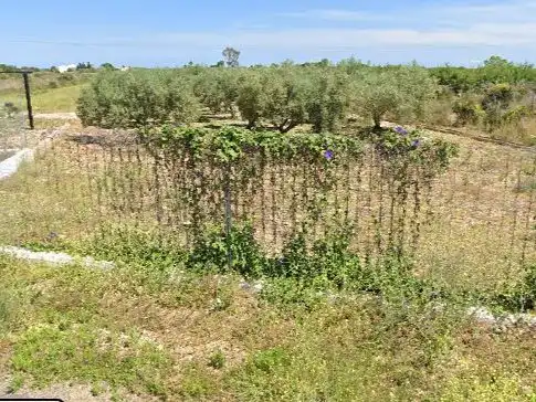 Land for sale in Cabanes