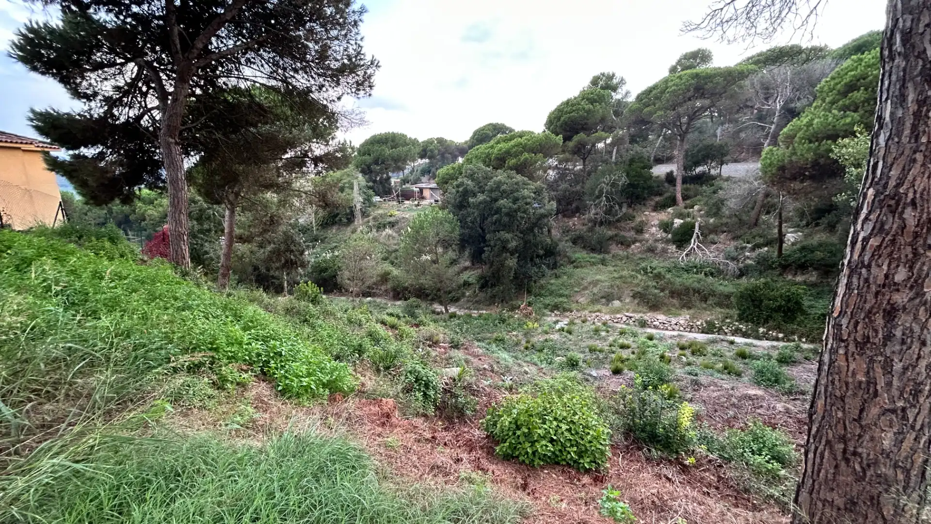 Terreno residencial en venta en Carrer Roure, imagen 3
