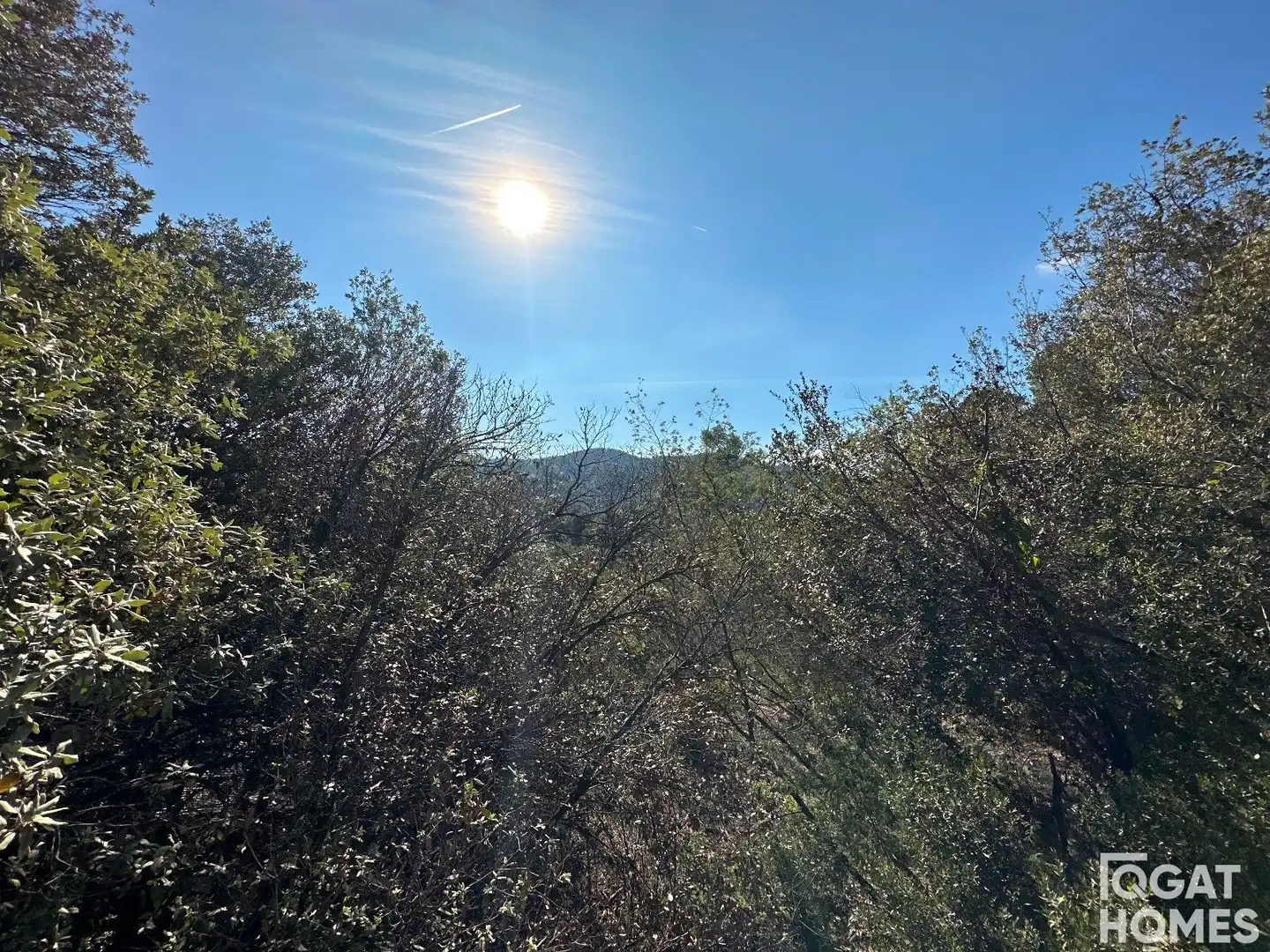 Rural land for sale in Verge de Montserrat, imagen 3