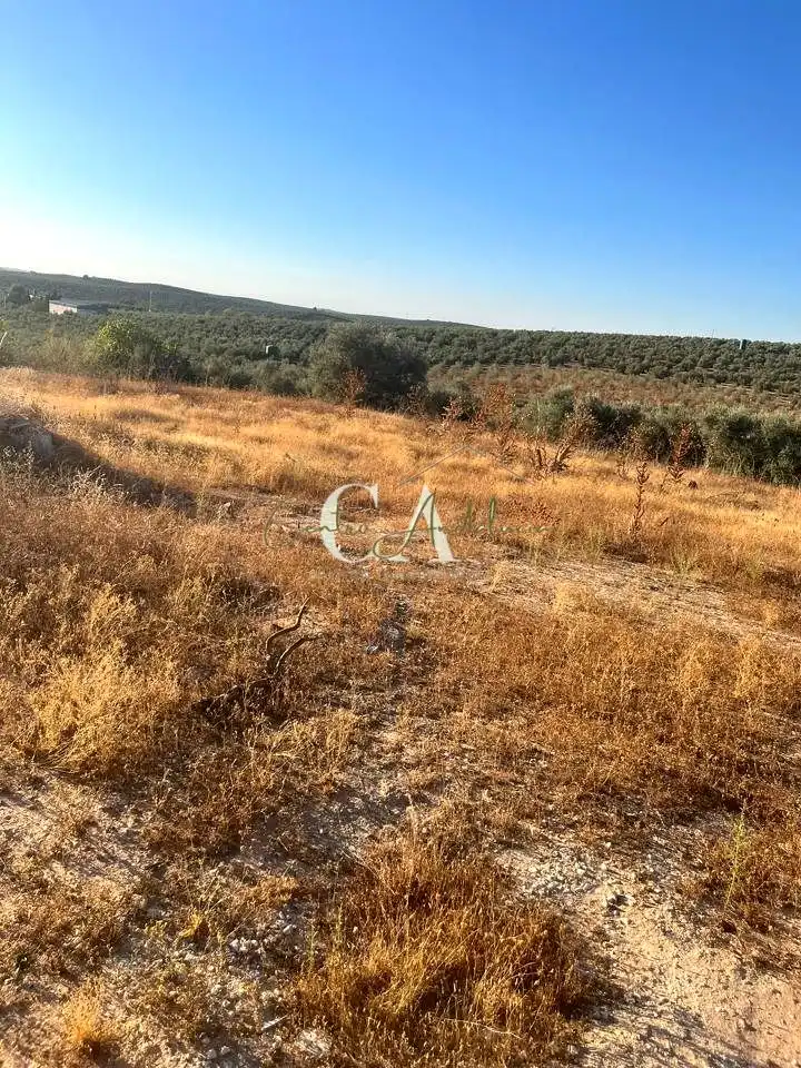 Terreny rústic en venda a A-3133, imagen 4