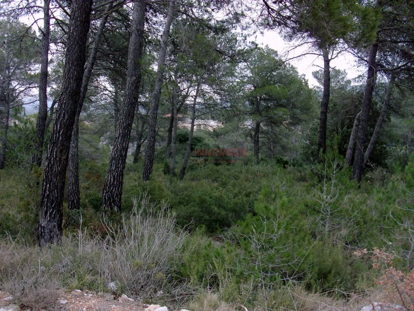 Terreni e lotti in vendita a Querol, imagen 3