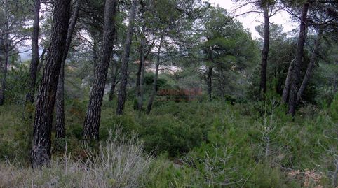 QuerolTerreno, immagine 3