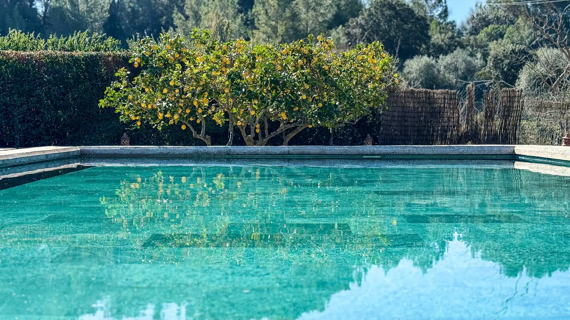 Country house with pool for sale in Calvià pueblo, imagen 49