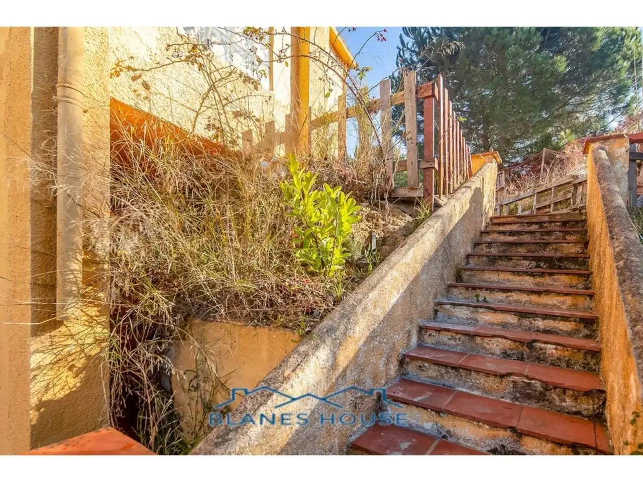 Casa o xalet en venda a Avenida DEL SAT-TELITS/ MILLENNI, Lloret Residencial - Montlloret