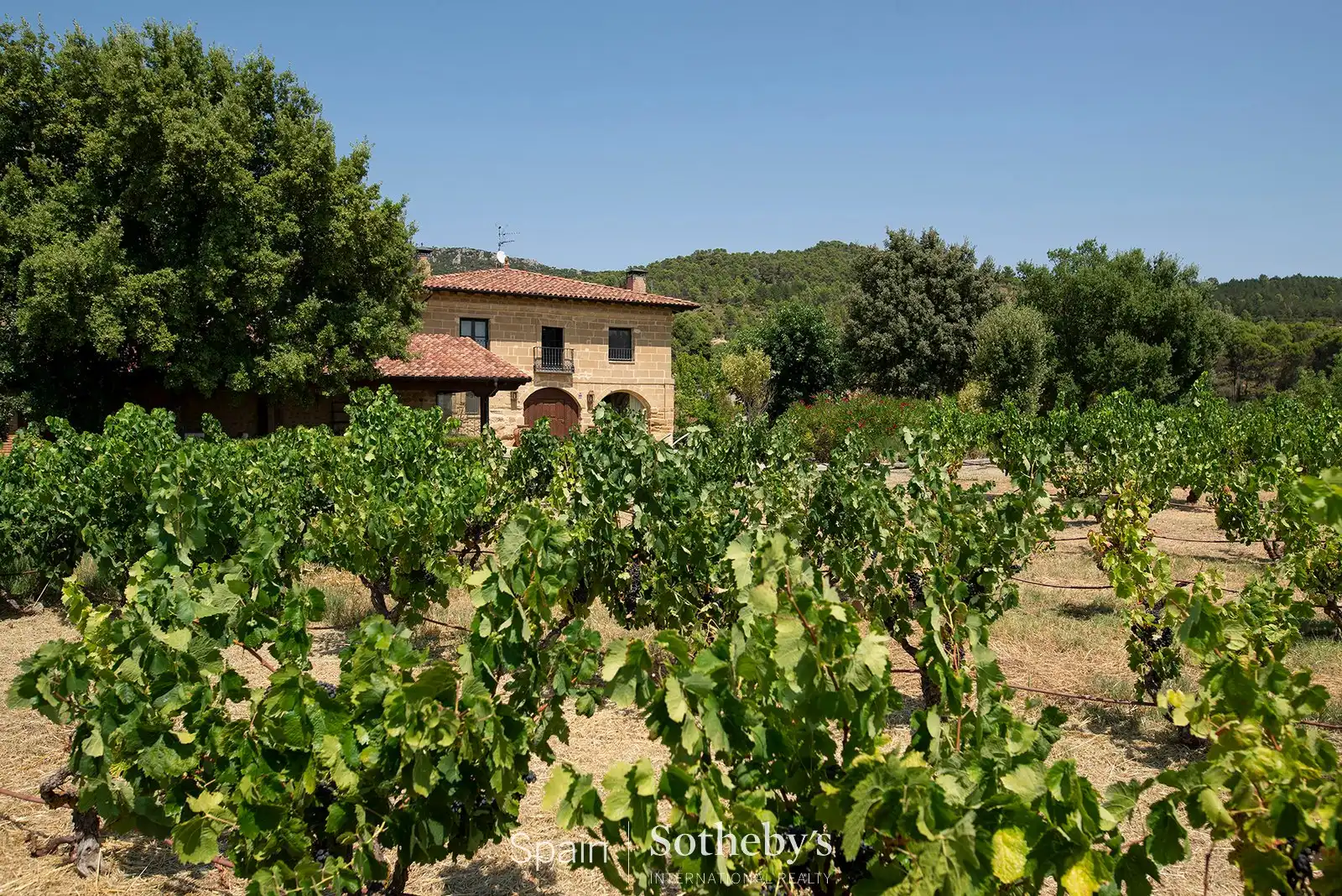 Terrenos y solares en venta en Villalba de Rioja, imagen 3