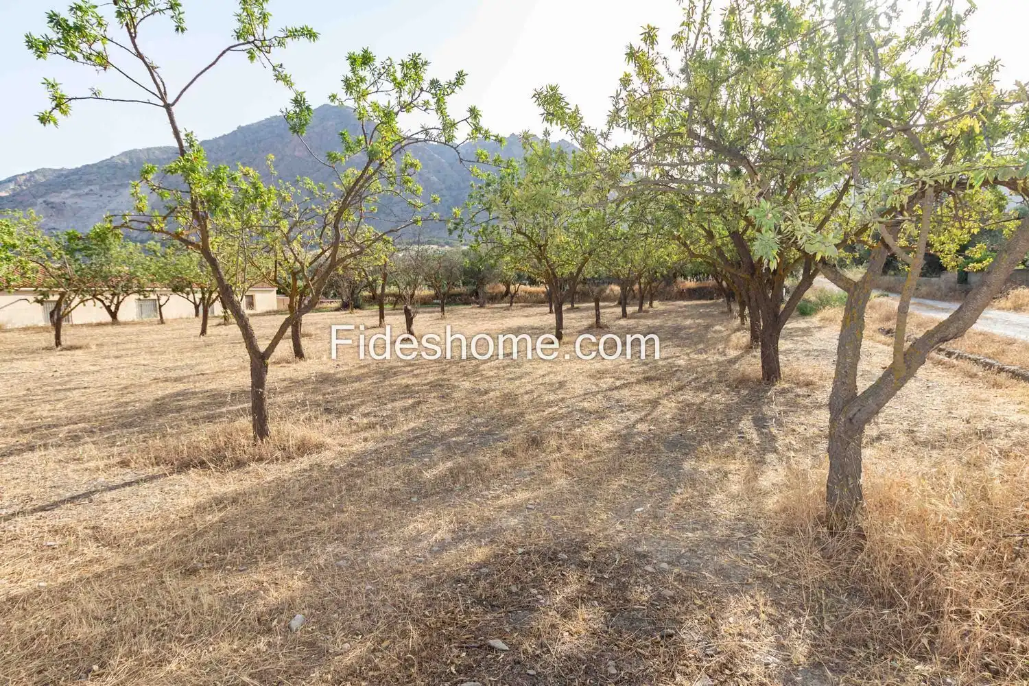 Rural land for sale in XFG2+MG9 Nigüelas 0, imagen 7