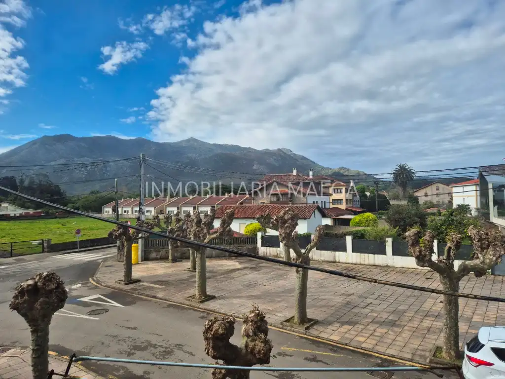 Vista exterior de Casa o xalet en venda en Colunga amb Jardí privat