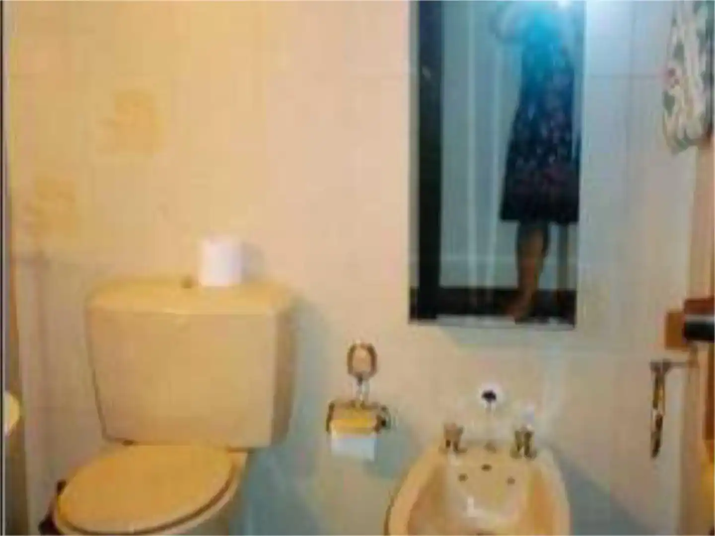 Baño de Piso para compartir en Madrid con Parquet, Amueblado y Balcón