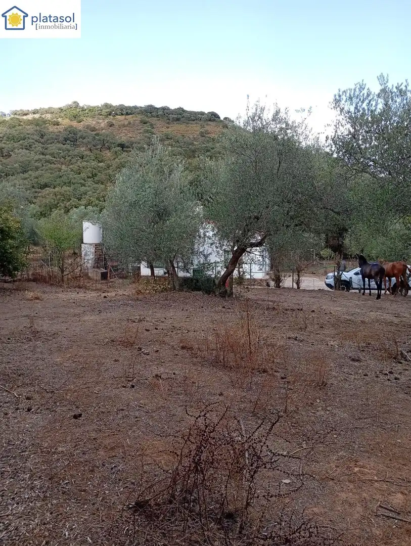 Maison rustique avec jardin à vendre à DISEMINADOS, imagen 7