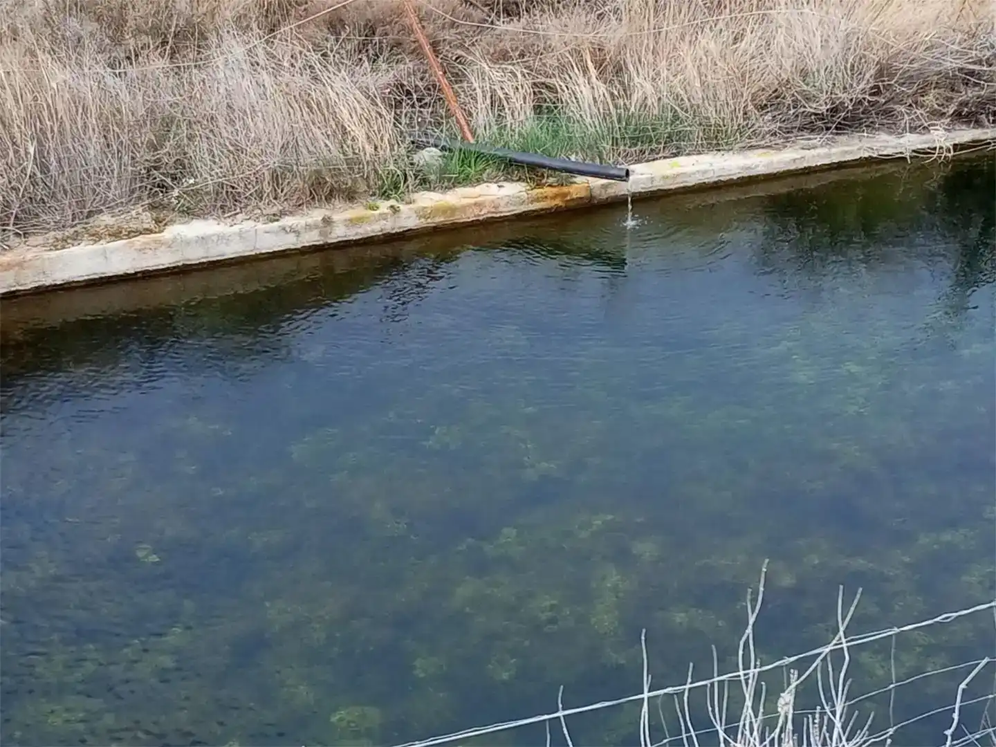 Piscina de Casa o chalet en venta en Baza