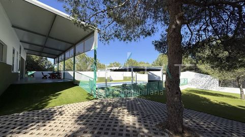 Foto 5 de Finca rústica en venta en El Pinar de Campoverde, Pilar de la Horadada