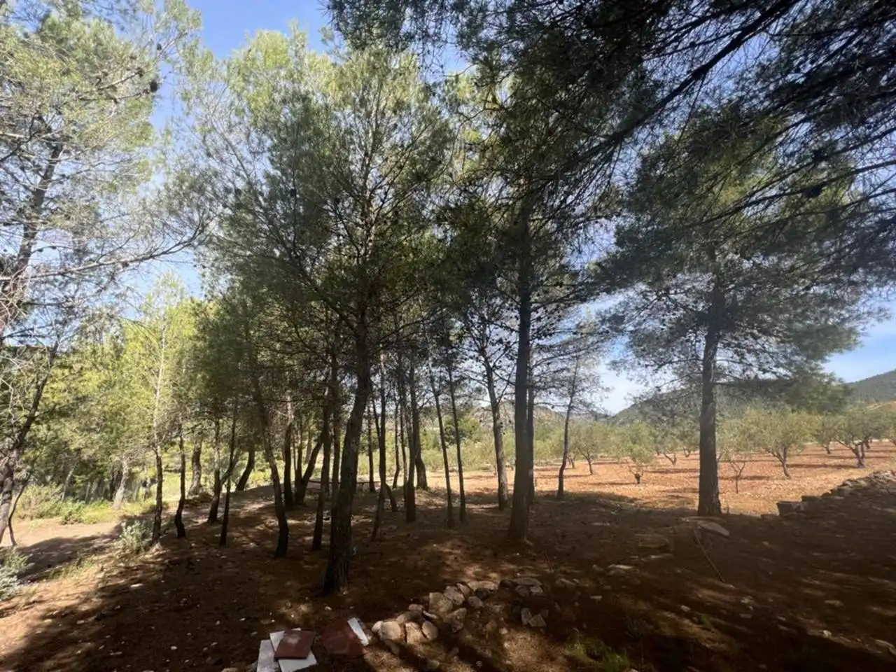Chalet con jardín en venta en Calle Poligono, imagen 93
