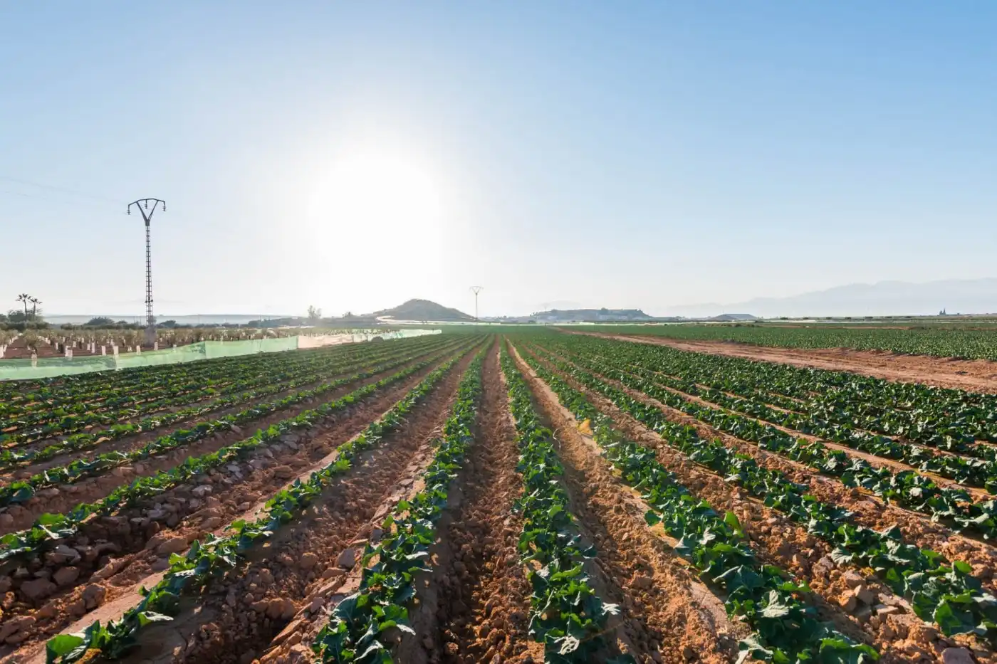 Vista exterior de Finca rústica en venta en Alhama de Murcia