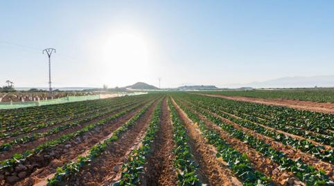 Photo 2 of Country house for sale in Condado de Alhama, Murcia