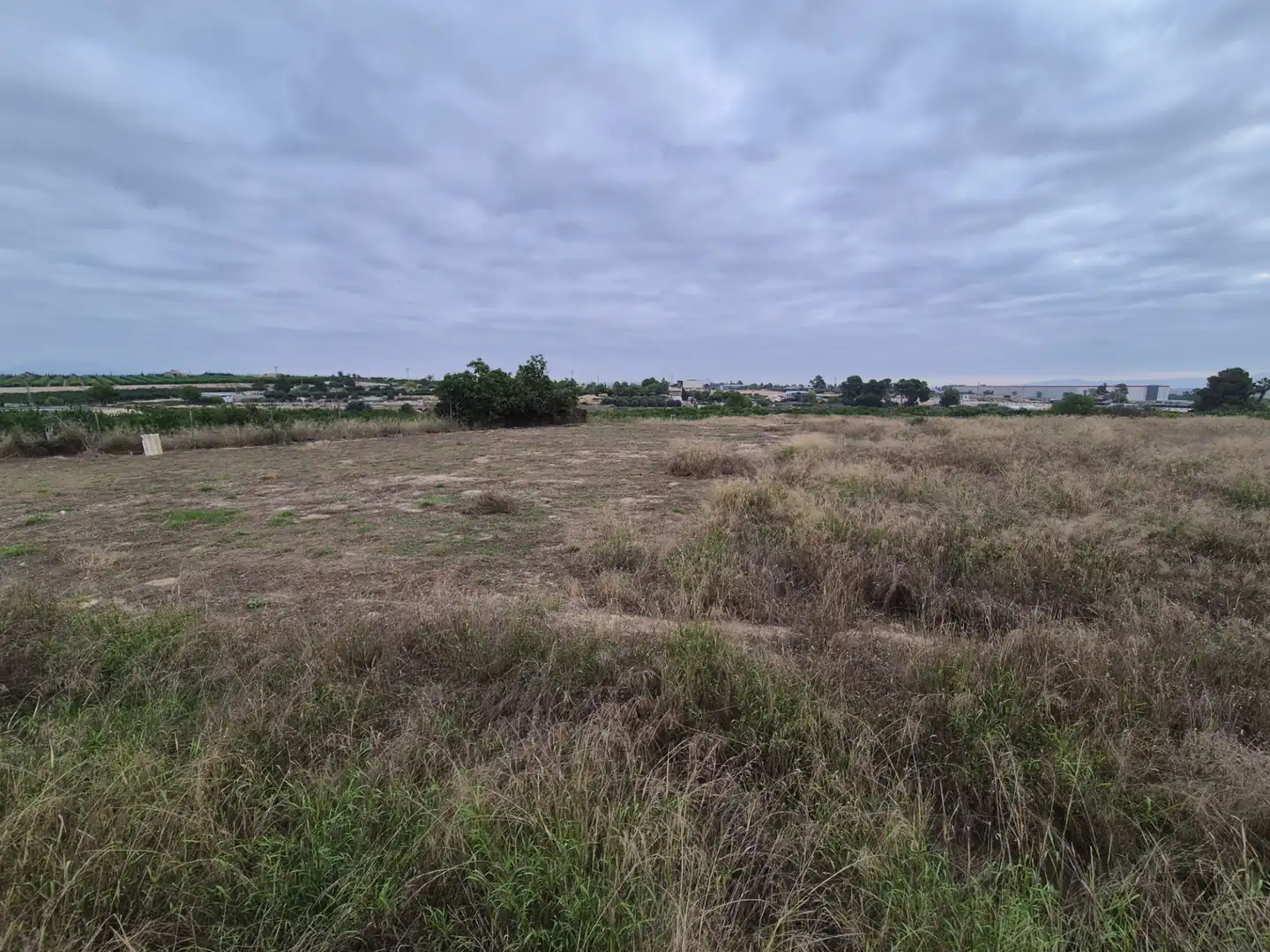 Finca rústica en venda en Las Torres de Cotillas amb Jardí privat, Terrassa i Traster