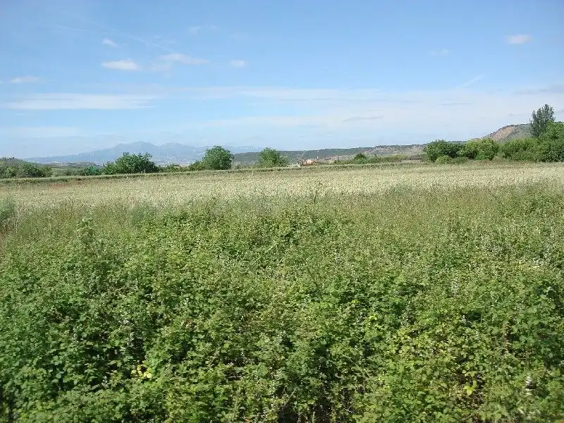 Terreny rústic en venda a Villamediana de Iregua