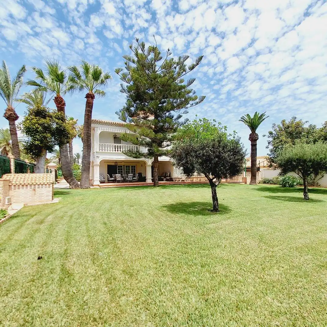 Jardí de Casa o xalet en venda en Orihuela amb Terrassa, Traster i Piscina