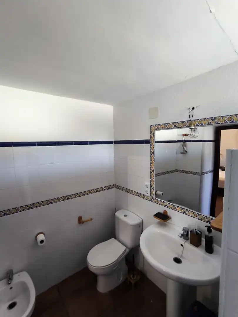 Bany de Casa o xalet en venda en Baños de la Encina amb Aire condicionat, Jardí privat i Terrassa