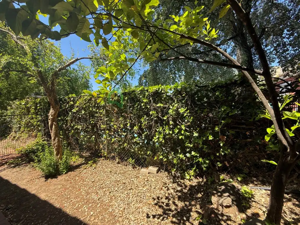 Jardí de Casa o xalet en venda en Badajoz amb Aire condicionat, Jardí privat i Piscina