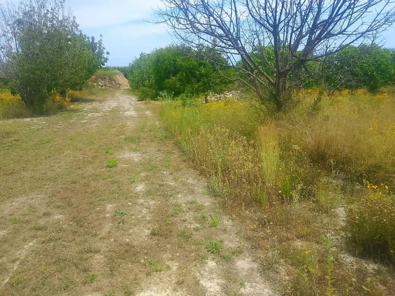 Land for sale in Bélgida