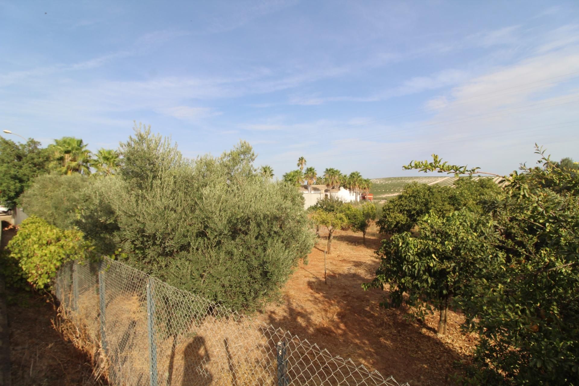 Jardí de Finca rústica en venda en Jerez de la Frontera
