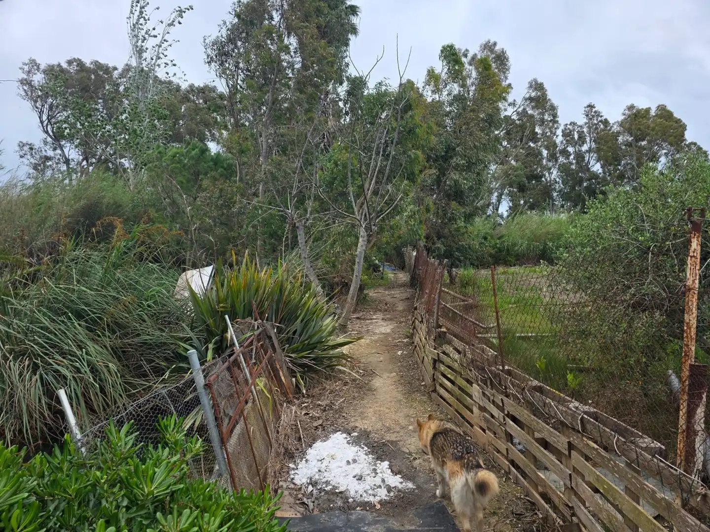 Terreno en venta en Amposta