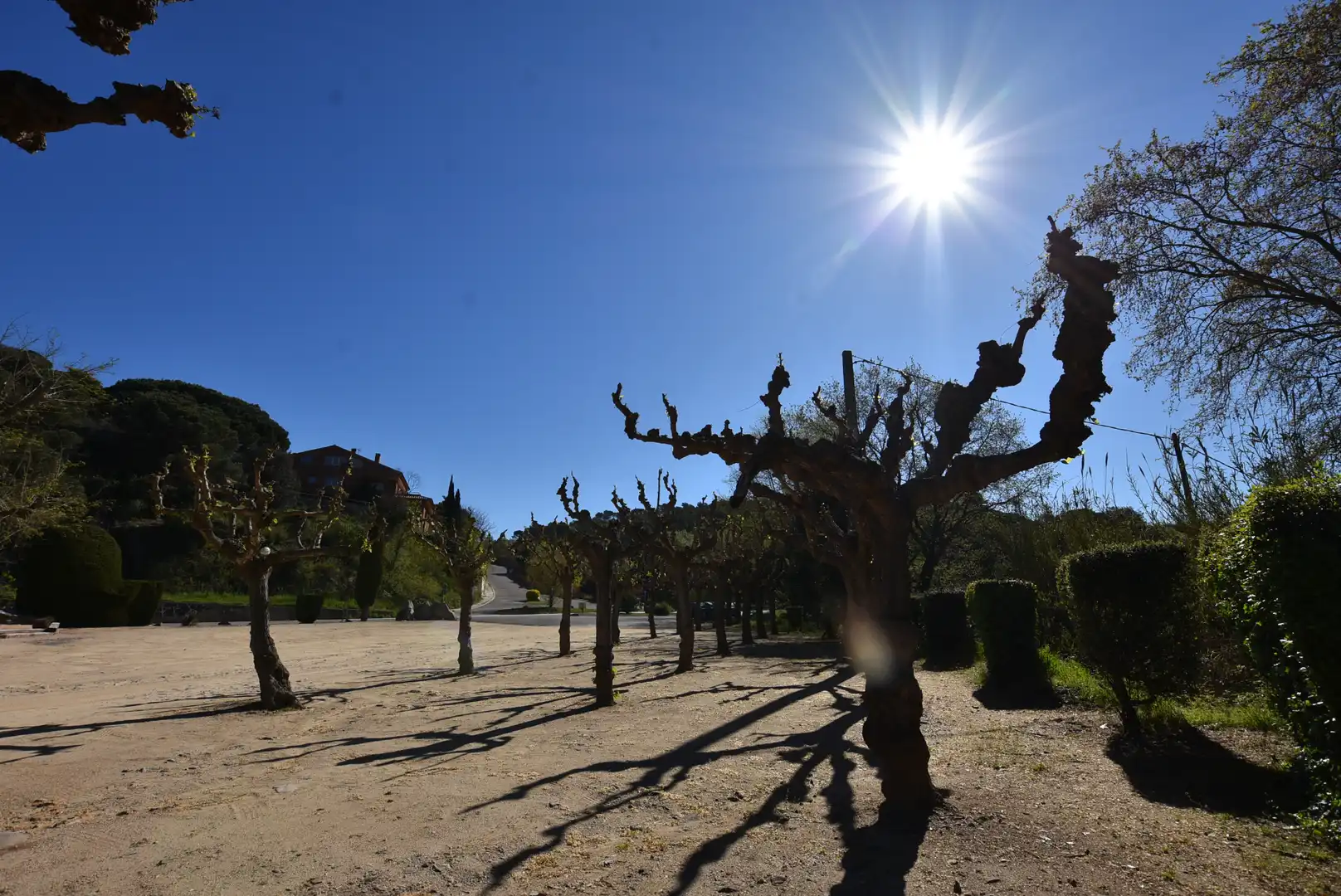 Jardín de Finca rústica en venta en Vallromanes con Terraza, Amueblado y Horno