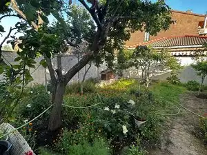 Jardín de Estudio de alquiler en Alcalá de Henares con Calefacción, Jardín privado y Amueblado