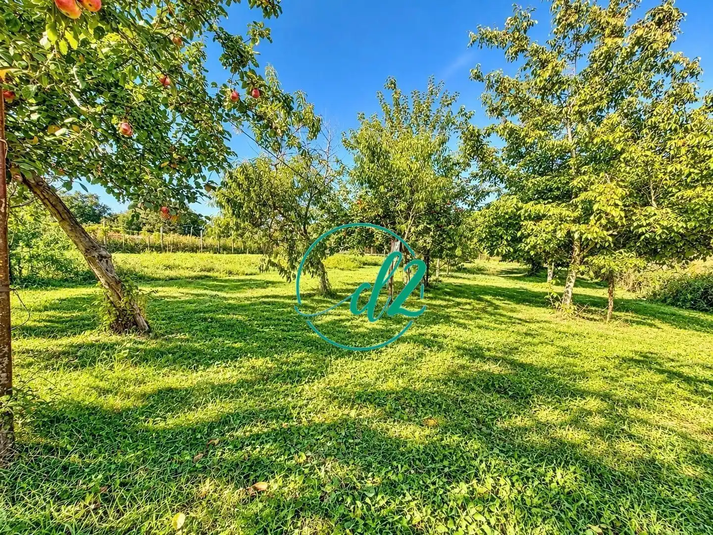 Detached house with garden for sale in Ventiun, imagen 30