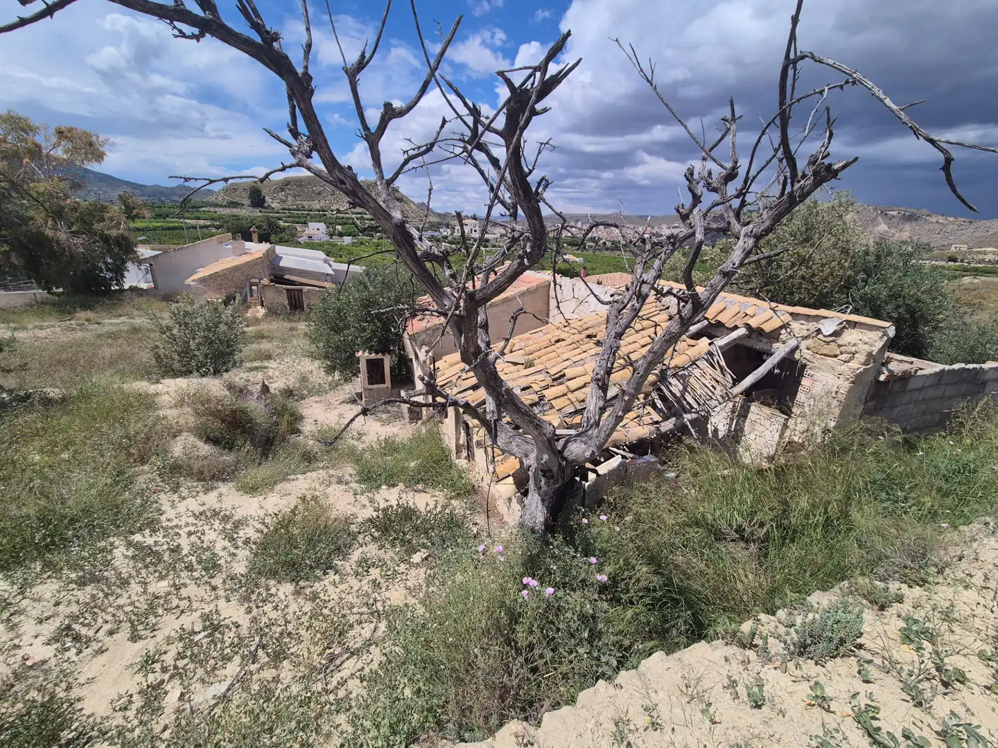 Casa rustica in vendita a Abarán, imagen 2