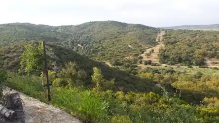 Land for sale in Cádiz