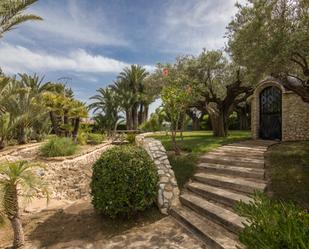 Jardí de Casa o xalet en venda en Elche / Elx amb Terrassa, Piscina i Balcó