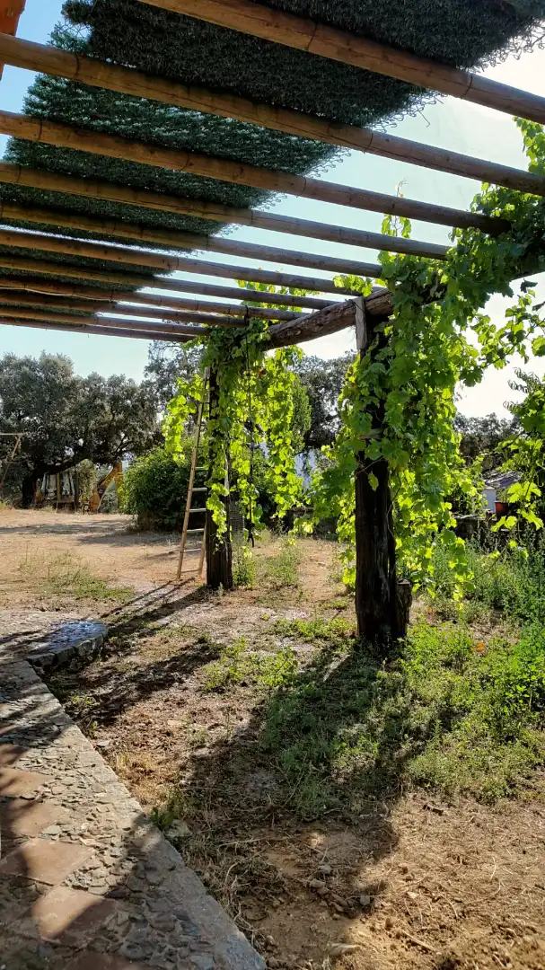 Terrenos y solares en venta en Extramuros Diseminados 5, imagen 14
