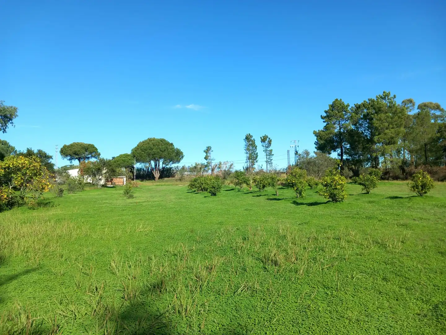 Maison rustique à vendre à Carretera Gibraleón, imagen 4