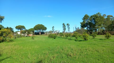 Foto 4 de Finca rústica en venta en Carretera Gibraleón, El Carmen - Cardeñas, Huelva Capital