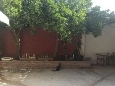 Maison à vendre à Patrocinio - Nueva Talavera