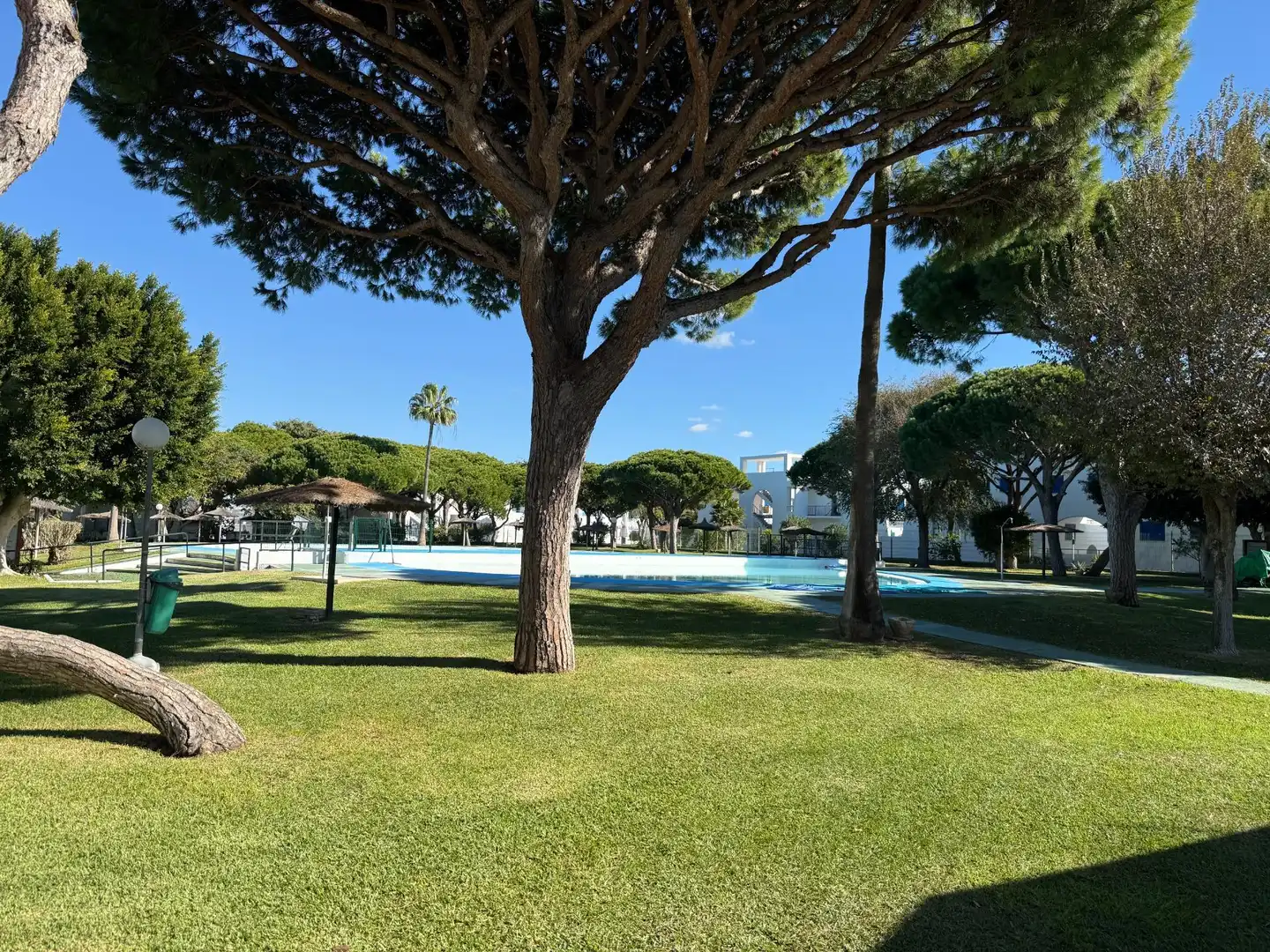 Schwimmbecken von Wohnungen zum Verkauf in Chiclana de la Frontera mit Terrasse, Möbliert und Gemeinschaftspool