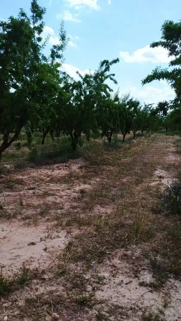 Pis en venda en Bovera