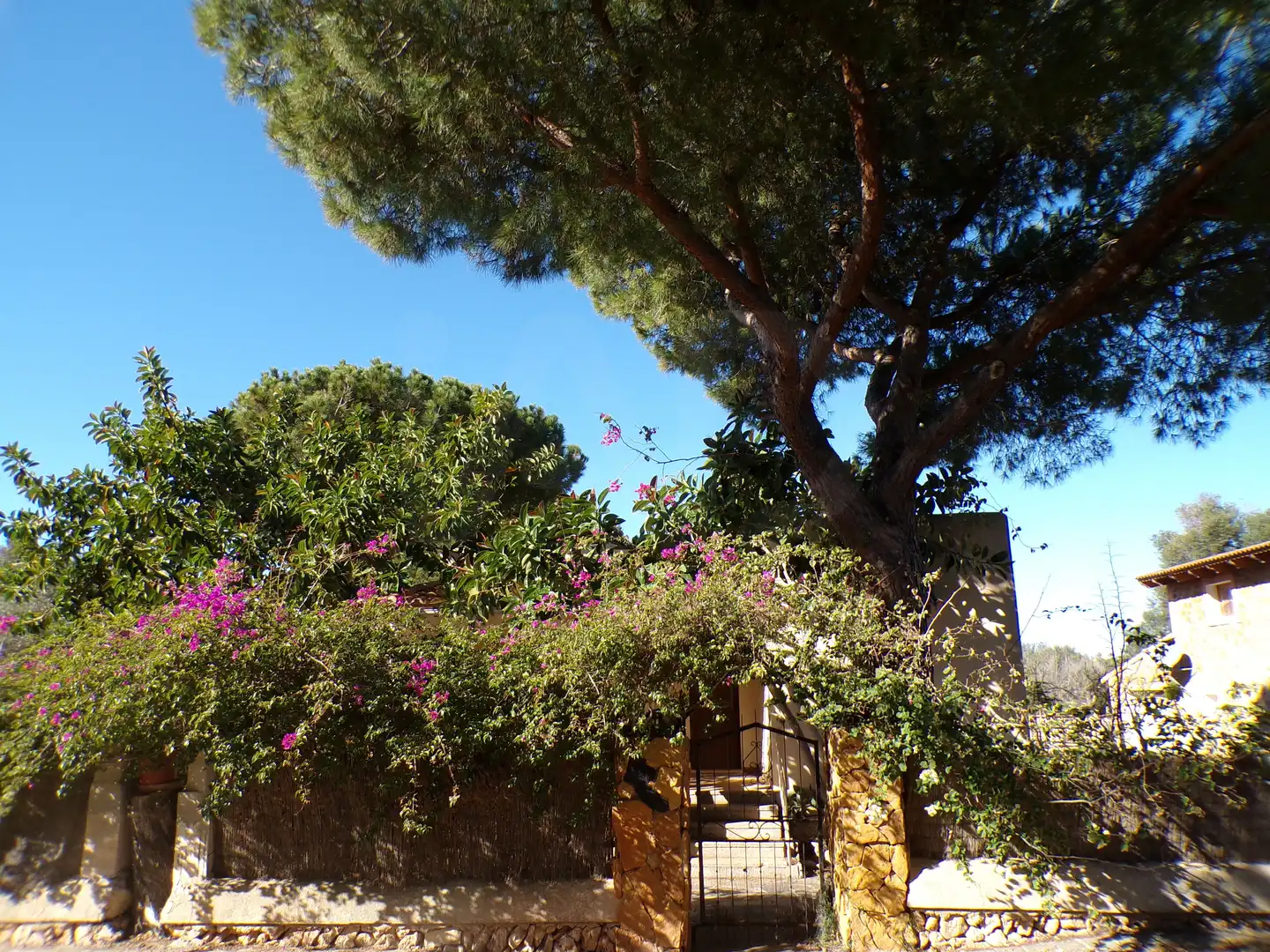 Casa amb piscina en venda a Cala Llombards