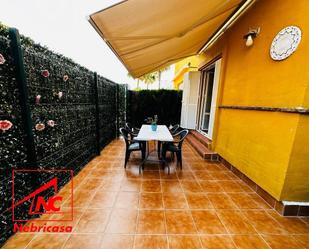 Terrace of Flat to rent in Rota  with Terrace, Swimming Pool and Furnished