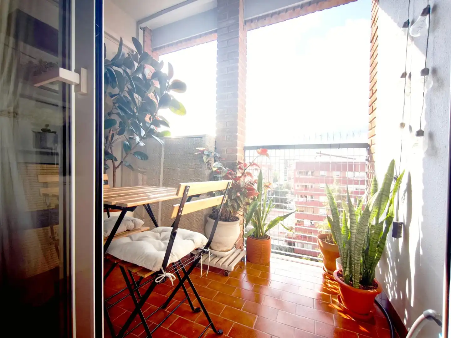 Flat with terrace to rent in Calle MUSICO GINES 16