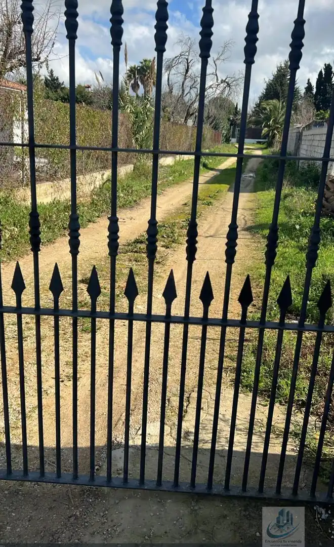 Vista exterior de Casa o xalet en venda en Chiclana de la Frontera amb Piscina i Alarma