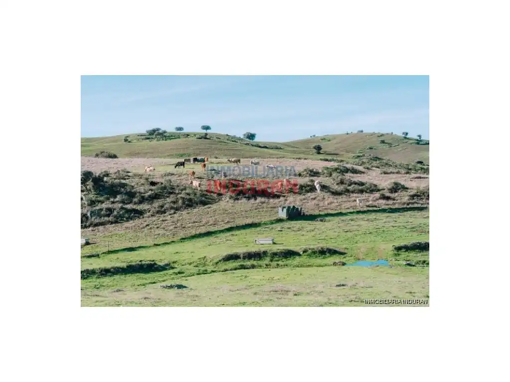 Casa o chalet en venta en Montemolín