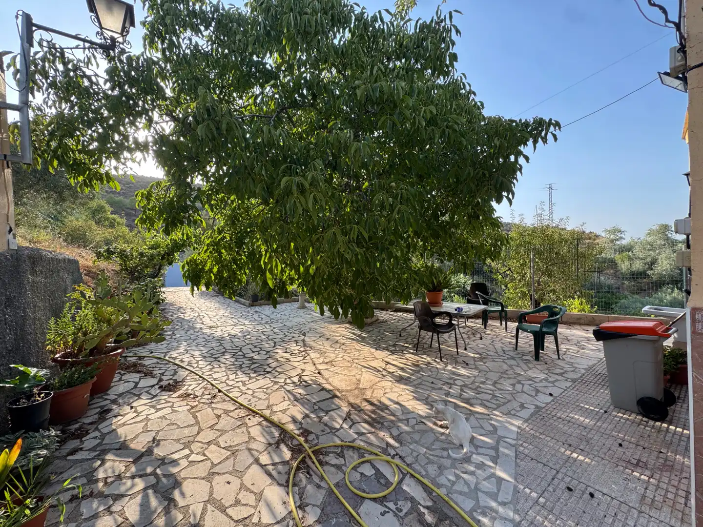 Detached house with terrace for sale in Carretera de Murcia 13, imagen 11